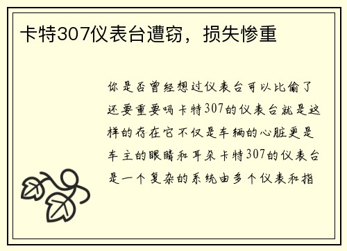 卡特307仪表台遭窃，损失惨重